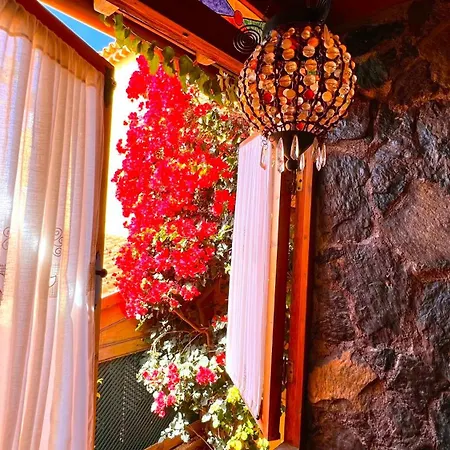 La Finquita 21 * Los Menores